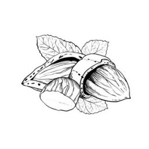 huile amande douce scentseas émolliente, anti-inflammatoire, cicatrisante, nourrissante, apaisante, assouplissante, lutte contre les démangeaisons et les pellicules, prévient les vergétures