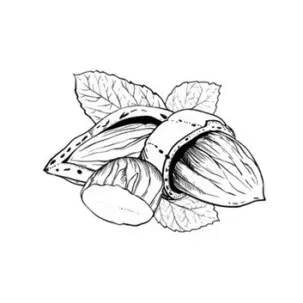 huile amande douce scentseas émolliente, anti-inflammatoire, cicatrisante, nourrissante, apaisante, assouplissante, lutte contre les démangeaisons et les pellicules, prévient les vergétures