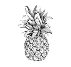 ananas cosmetique scentseas qui dit antioxydant dit bon pour ralentir le vieillissement prématuré de la peau ! Par ailleurs, en raison des enzymes qui le composent, et notamment la bromelaïne, l'ananas a également des propriétés exfoliantes et anti-inflammatoires. contient par ailleurs des acides intéressantpour un « coup d'éclat »; lisse et améliore l’aspect de la peau; aussi utilisé pour l'équilibre des peaux mixtes ou booster la tonicité des épidermes fatigués.