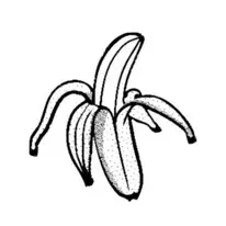 banane cosmetique scentseas la banane, l’emblème des Antilles est une source de jeunesse pour la peau; elle regorge de bienfaits cosmétiques grâce à ses molécules antioxydantes que sont les phytostérols et les polyphénols. Indications: peaux sèches, déshydratées, sensibles ou irritées Peaux matures, rides creusées