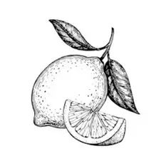 huile essentielle citron corse scentseas lemon Le citron est un fruit riche en acide citrique et en vitamine C, ce qui lui donne des vertus antiseptiques, et cicatrisantes et anti-taches; lutte contre la peau grasse et contre les rides; lutte contre les points noirs, l'eczéma et autres boutons disgracieux