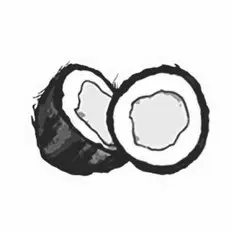 lait de coco ingredient scentseas Soin anti-âge, le lait de coco contient du cuivre et de la vitamine C, ce qui améliore l'élasticité de la peau. Il aide ainsi à prévenir les rides, mais également l'affaissement de la peau et les tâches de vieillesse. Doté de propriétés antiseptiques, le lait de coco est très efficace dans le traitement des coups de soleil. Les graisses et les huiles dont il est riche contribuent efficacement à réduire les rougeurs