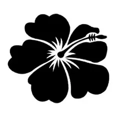 fleur d'hibiscus cosmetique scentseas allié des peaux sèches, dévitalisées, fragilisées, matures. fleurs riches en anthocyanes, antioxydants pour des effets anti-âge; riche en vitamine C et en acides de fruits. Soutient l'hydratation et adoucit la peau grâce aux sucres, acides organiques et mucilages. Revitalise la peau
