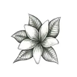 huile essentielle jasmin scentseas TRES PRECIEUSE Cicatrisante Antiride Régénère Anti-acné Positivante Apaisante Antibactérienne Désinfectante Equilibre les peaux sèches Anti inflammatoire