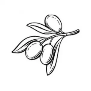 huile d olive scentseas antirides, hydratante, nourrissante, réparatrice, démaquillante, tonifie, raffermit, exfoliante, apaisante rougeurs et irritations