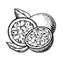 huile fruit de la passion ingredient scentseas l'huile extraite du fruit de la passion est ausii appelé maracuja : revitalisante et nourrissante