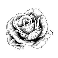 pétales de rose gommage hibiscus Grâce à ses propriétés adoucissantes et régénérantes, la rose apporte du confort et de l'élasticité aux peaux sèches et matures. Apaisante. La rose protège la peau des agressions extérieures (vent, froid, pollution…) et calme les rougeurs ou les réactions de l'épiderme. Elle est l'alliée des peaux sensibles.